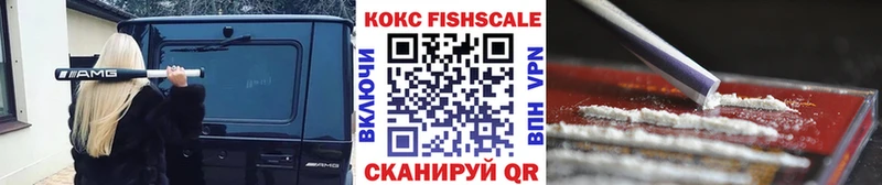 Купить закладки  Сибай  COCAIN 99% 