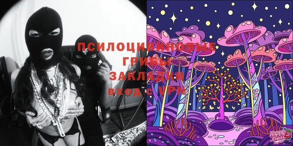 винт Верея