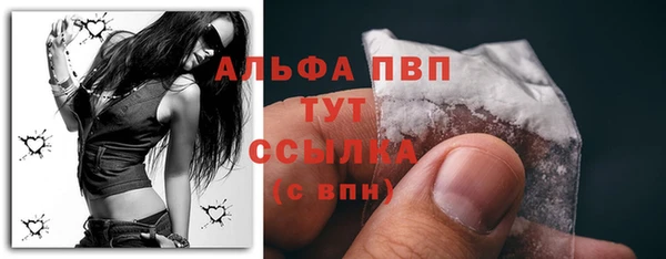 сатива Волосово
