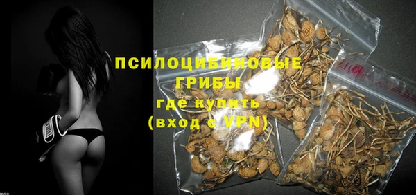 винт Верея