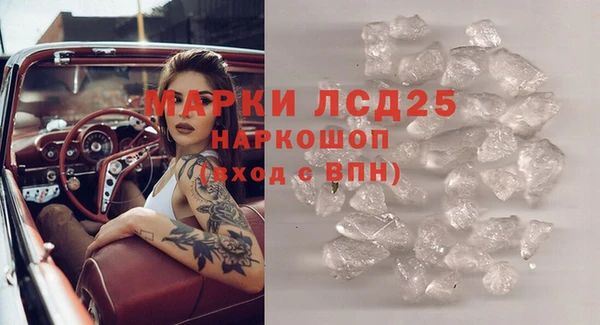 винт Верея
