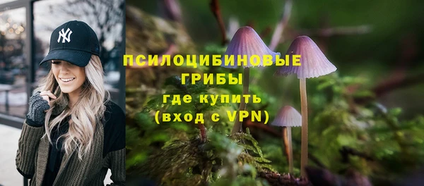 винт Верея