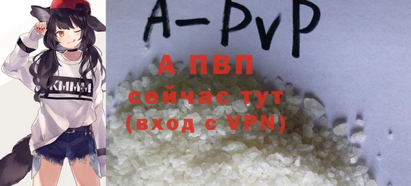 винт Верея