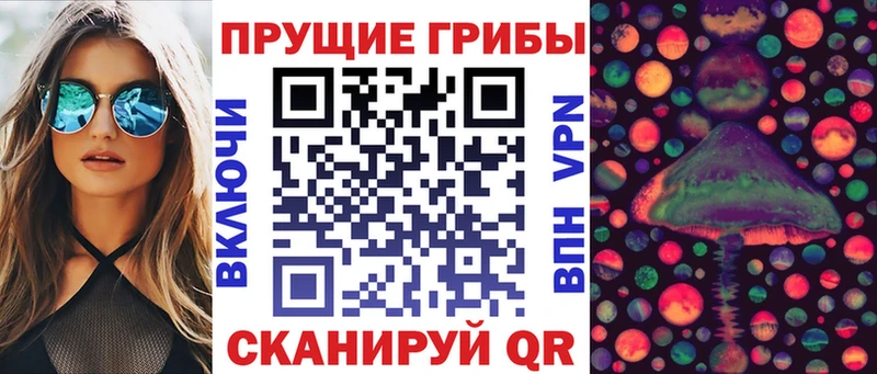 Псилоцибиновые грибы прущие грибы  Купить где  Сибай 